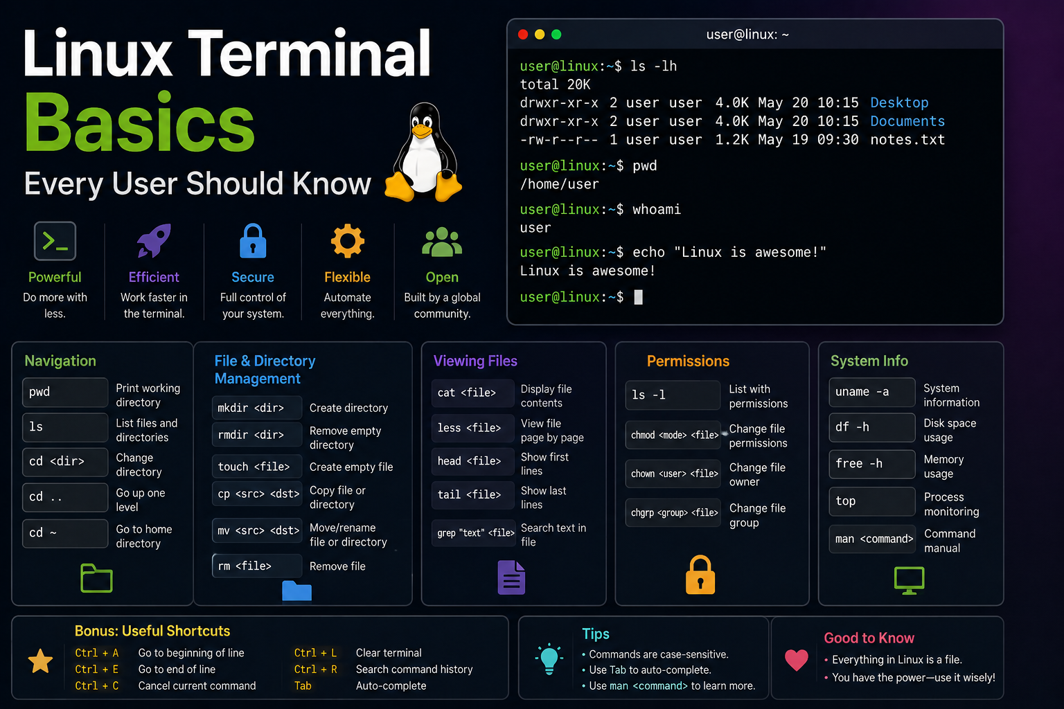 Linux Terminal Basics Every User Should Know